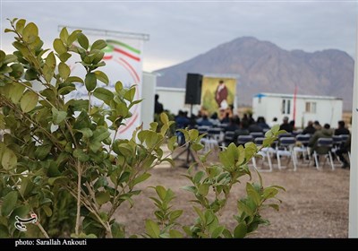 روز درختکاری در کرمان