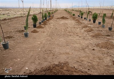 سبز،پروژه،شهر،محور،فضاي،شهري،طرح،بيرانوند،اصله،باراني