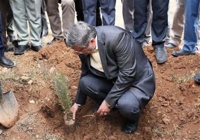پیشبینی کاشت 7.5 میلیون اصله درخت در لرستان