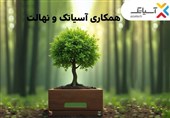 15 درصد تخفیف خرید نهال برای کاربران آسیاتک در هفته درختکاری