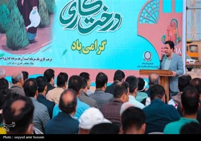 کاشت 2 هزار نهال در معابر شهری بوشهر