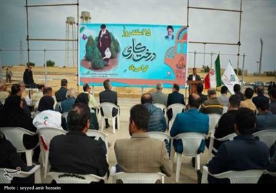 کاشت 2 هزار نهال در معابر شهری بوشهر