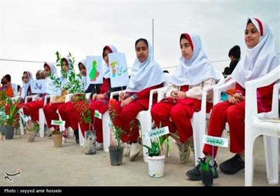 کاشت 2 هزار نهال در معابر شهری بوشهر