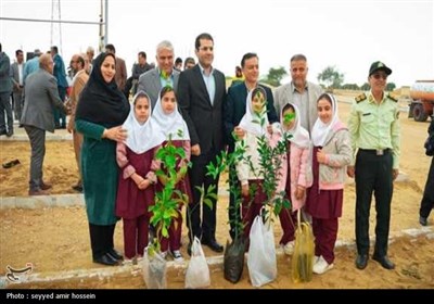 کاشت 2 هزار نهال در معابر شهری بوشهر
