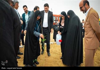 کاشت 2 هزار نهال در معابر شهری بوشهر