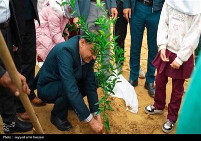 کاشت 2 هزار نهال در معابر شهری بوشهر