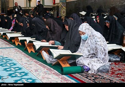 جز خوانی قرآن کریم در حرم مطهر امام رضا (ع)
