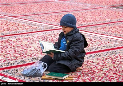 جز خوانی قرآن کریم در حرم مطهر امام رضا (ع)