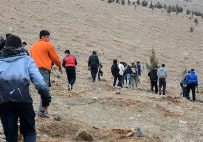مراسم روز درختکاری در لرستان