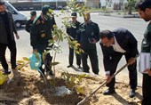 کاشت نهال با مشارکت سپاه استان بوشهر