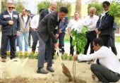 کاشت بیش از 5 هزار نهال در جنوب استان بوشهر
