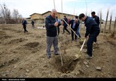 آیین کاشت هزار اصله نهال در نیروگاه برق شهید مفتح همدان