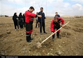آیین کاشت هزار اصله نهال در نیروگاه برق شهید مفتح همدان