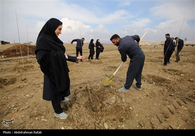 آیین کاشت هزار اصله نهال در نیروگاه برق شهید مفتح همدان