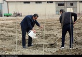آیین کاشت هزار اصله نهال در نیروگاه برق شهید مفتح همدان