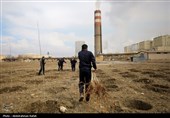 آیین کاشت هزار اصله نهال در نیروگاه برق شهید مفتح همدان