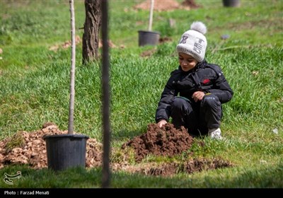 غرس 20 هزار اصله نهال در کرمانشاه
