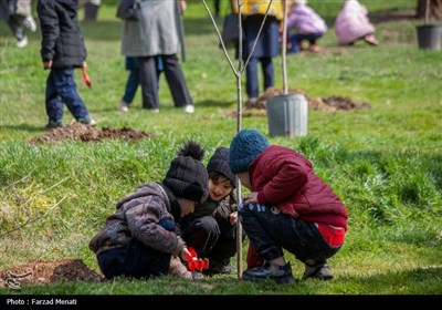 غرس 20 هزار اصله نهال در کرمانشاه