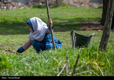 غرس 20 هزار اصله نهال در کرمانشاه