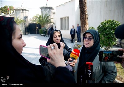 فاطمه مهاجرانی، سخنگوی دولت در آخرین جلسه هیات دولت در سال 1403