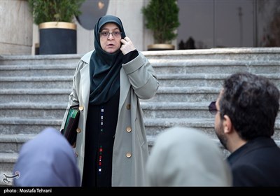 فاطمه مهاجرانی، سخنگوی دولت در آخرین جلسه هیات دولت در سال 1403