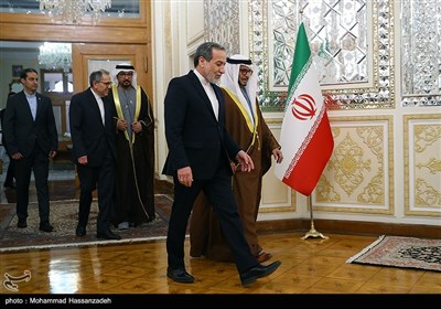 دیدار مشاور دیپلماتیک رئیس کشور امارات با عراقچی
