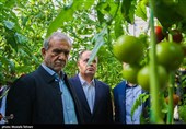 سفر رئیس جمهور به شهرهای استان تهران