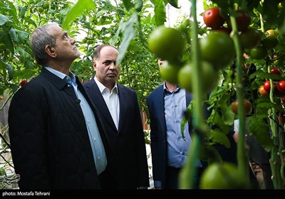 سفر رئیس جمهور به شهرهای استان تهران