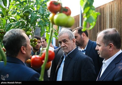 سفر رئیس جمهور به شهرهای استان تهران