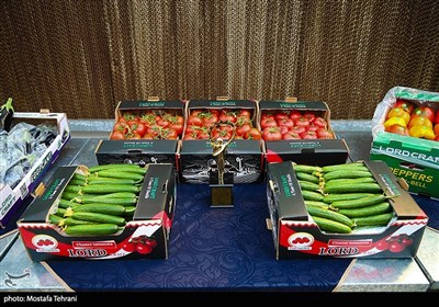 سفر رئیس جمهور به شهرهای استان تهران