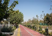 پیشرفت 95 درصدی باغراه حضرت فاطمه زهرا(س)؛ شمارش معکوس برای افتتاح