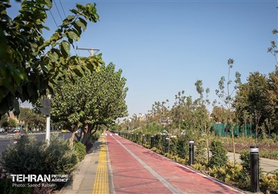 شهري،طراحي،پروژه،اجتماعي،فضاهاي،شهروندان،مناطق،تسنيم،فاطمه