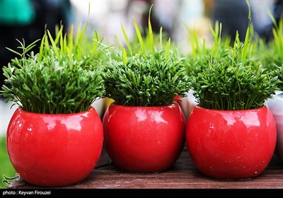 بازار سنندج در آستانه سال 1404
