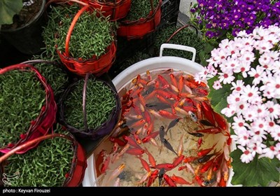 بازار سنندج در آستانه سال 1404