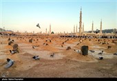 بقیع، زخم همیشه باز تاریخ