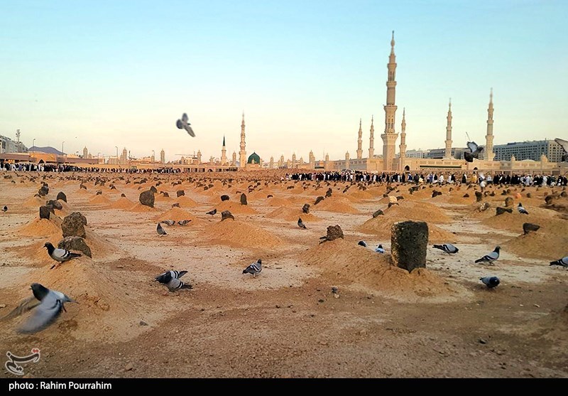 بقیع، زخم همیشه باز تاریخ