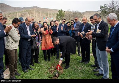 رویداد بین المللی نوروز-مجموعه جهانی تخت جمشید