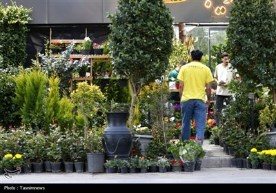 حال و هوای شب عید در بجنورد