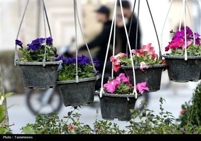 حال و هوای شب عید در بجنورد