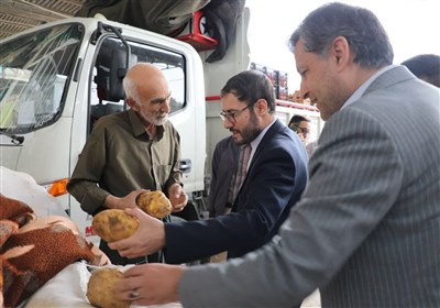 بازديد،ميوه،استان،كردستان،سنندج،حكومتي،كيفيت،شهروندان،مراكز، ...