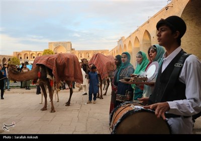 رالی راه ادویه