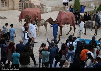 رالی راه ادویه