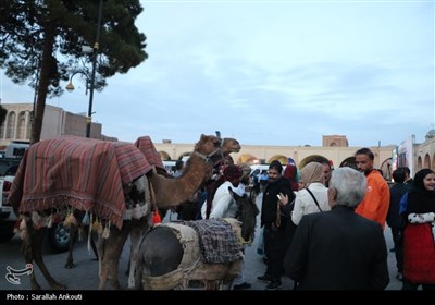 رالی راه ادویه