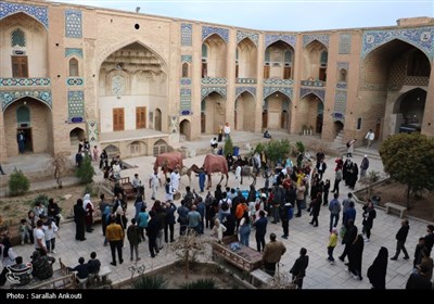 رالی راه ادویه