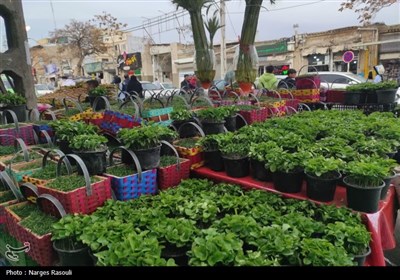 بازار زنجان در آستانه تحویل سال