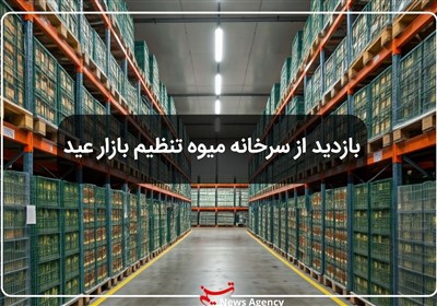 بازدید مدیرکل بازرسی فارس از محل ذخیره سازی میوه نوروز 1404