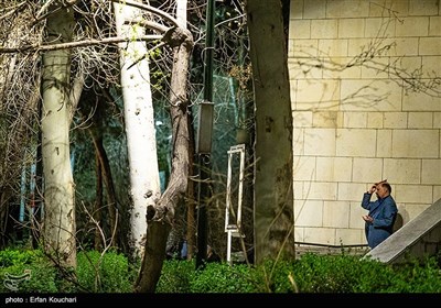 مراسم احیای شب نوزدهم ماه مبارک رمضان در دانشگاه تهران