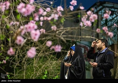 مراسم احیای شب نوزدهم ماه مبارک رمضان در دانشگاه تهران