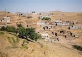 اجرای قانون ساماندهی تجارت مرزی در کردستان