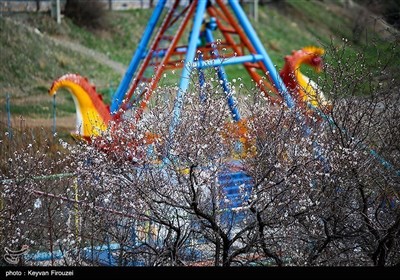 Весенняя природа Ирана - город Сенендедж